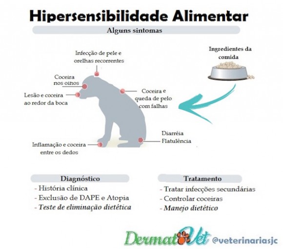 Hipersensibilidade alimentar (HA) ou dermatite trofoalérgica