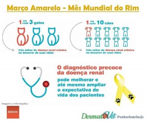 foto dermatovet doença renal crônica