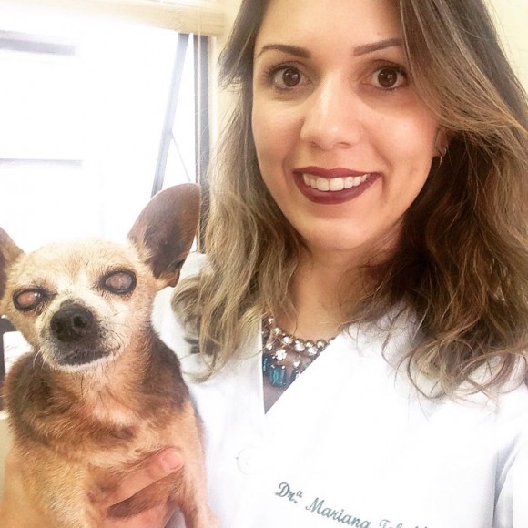 Homenagem a Suzi minha pinscher velhinha e querida