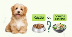 racao ou comida cao